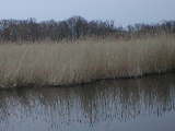 broads/nay2/P1010090 (WinCE).JPG